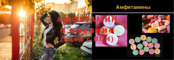 гидра Алексеевка