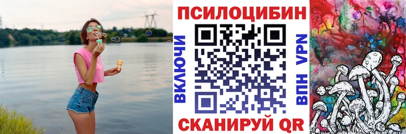 Псилоцибиновые грибы прущие грибы  Щёлково 